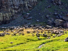 中国黄山摄影攻略黄山摄影旅游