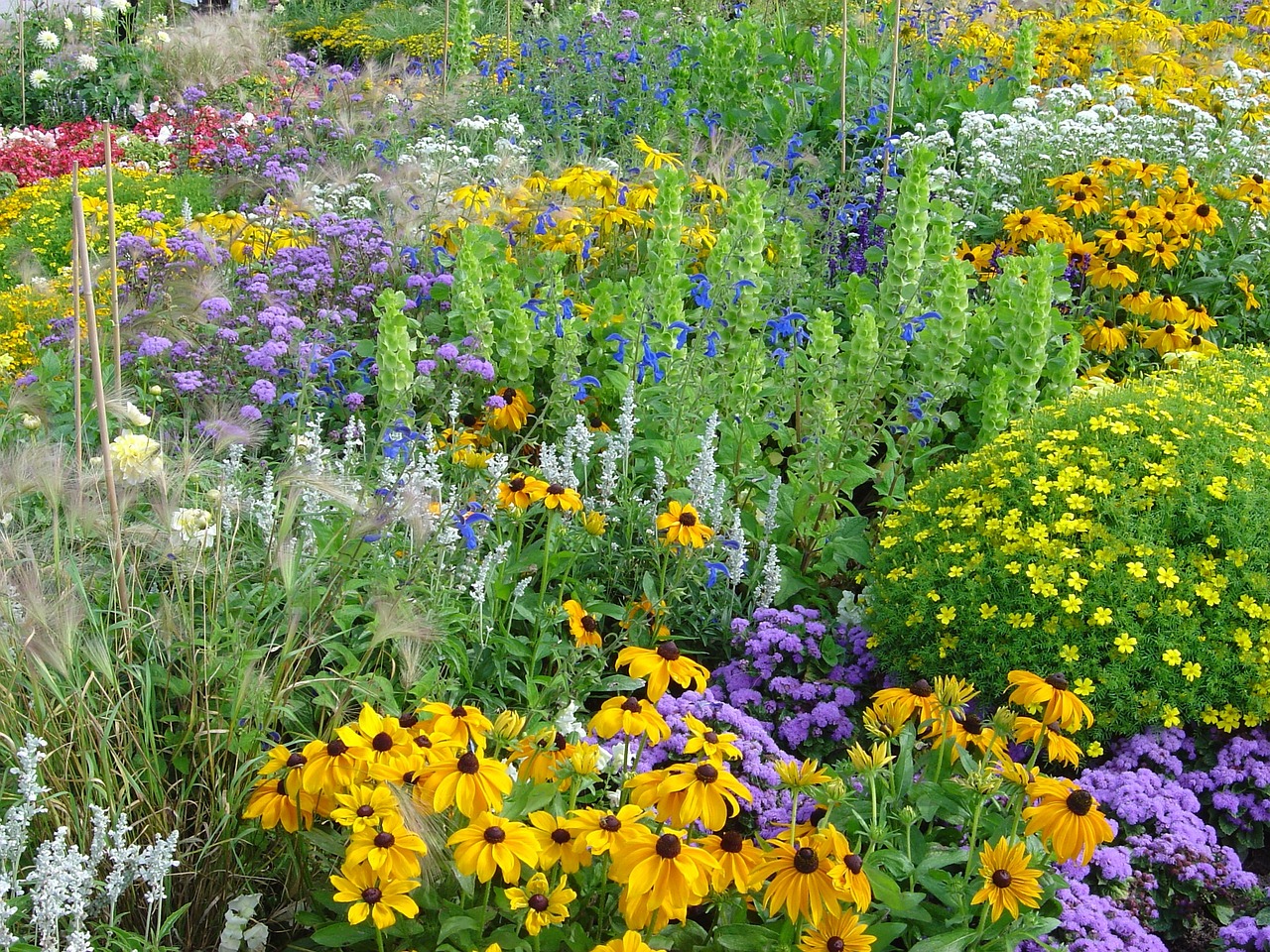 宜兴写字楼花卉种植园——水生花卉的多样性与魅力水生 花卉  第1张